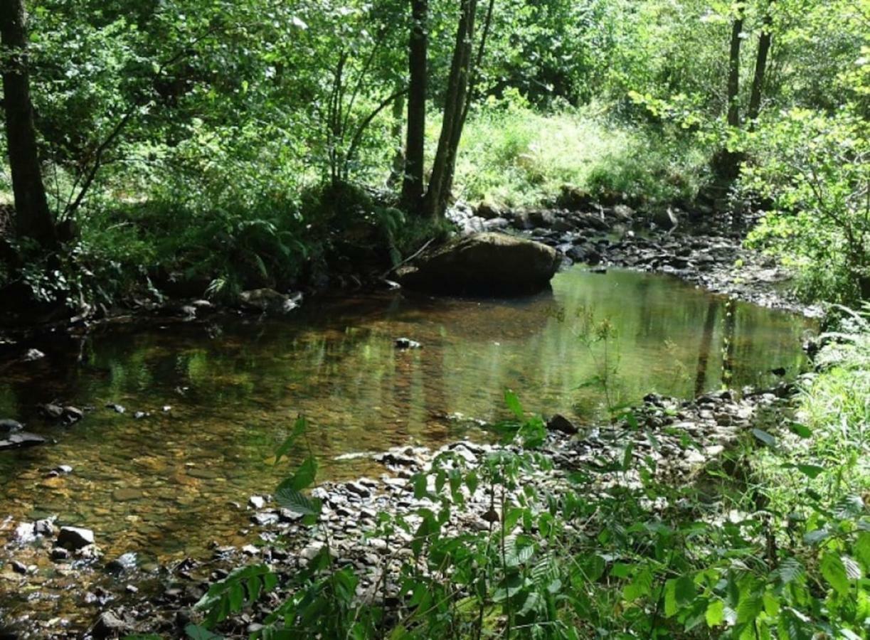 Vila La Chouette Au Bouleau Hargnies Exteriér fotografie