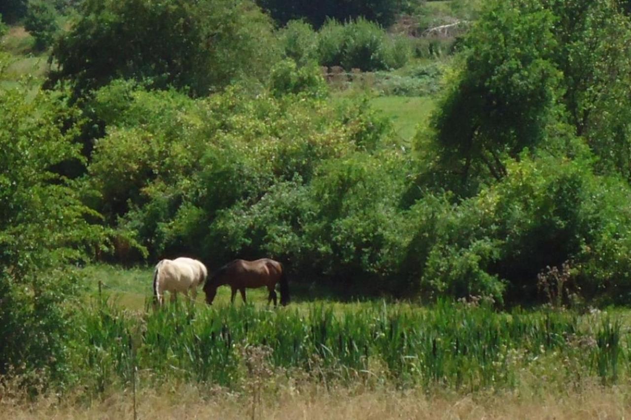 Vila La Chouette Au Bouleau Hargnies Exteriér fotografie